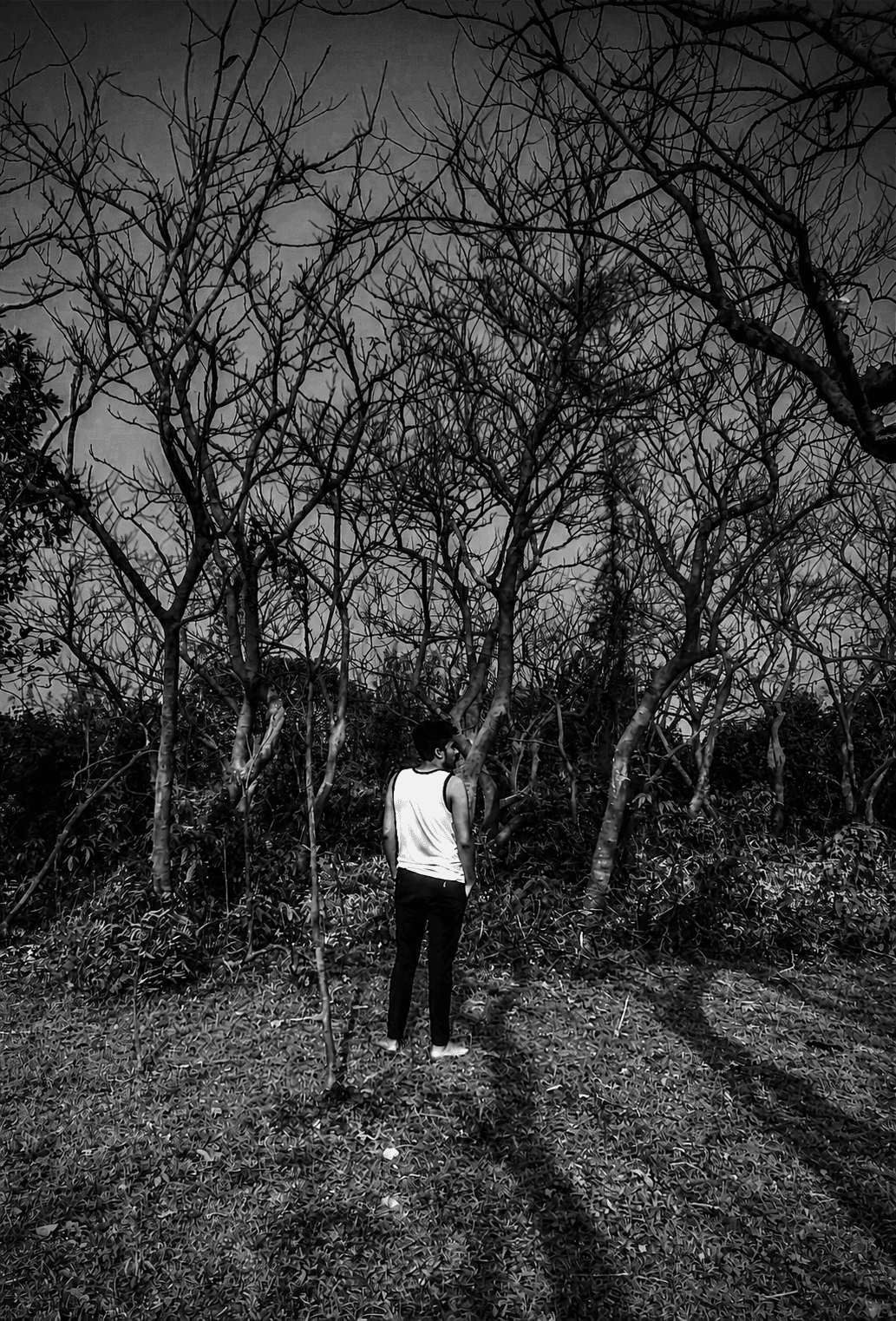 Black and white frame of a lone figure standing barefoot among bare winter branches