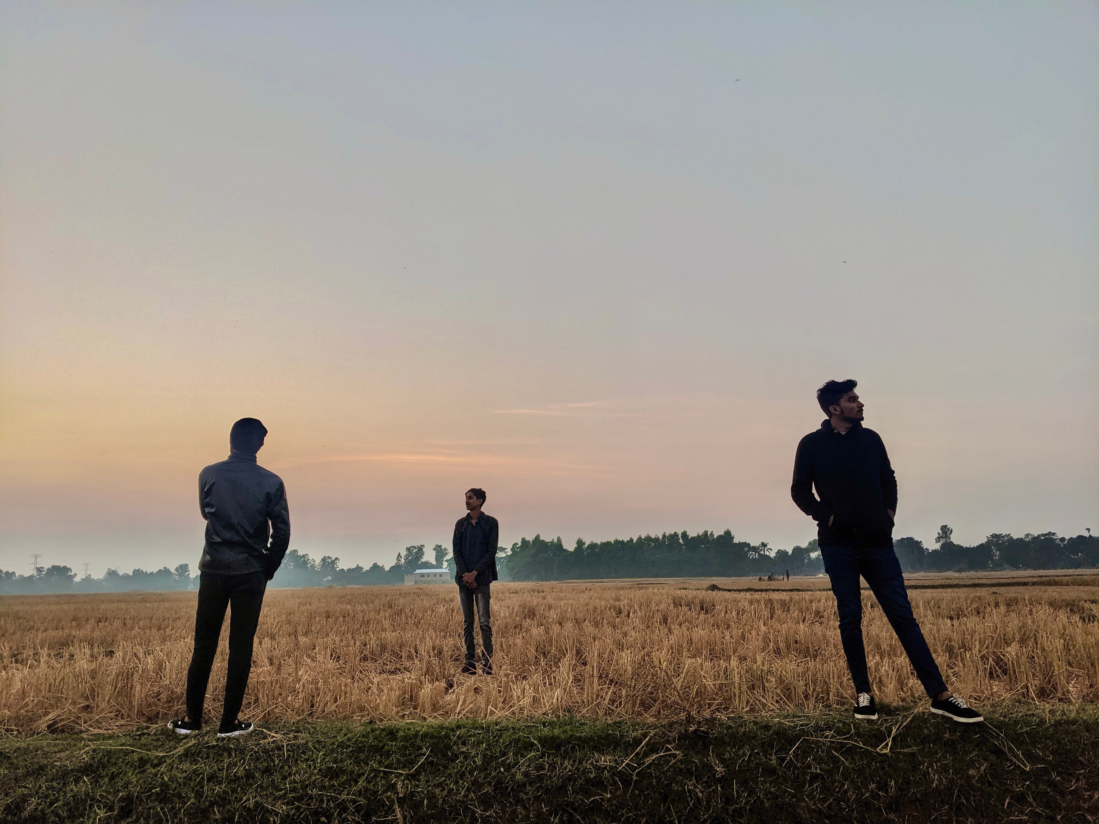 Three figures spread across a harvested paddy field at dawn under a pale orange sky